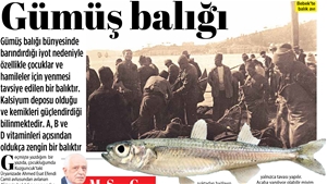 Gümüş Balığı...